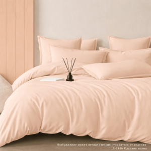 КПБ Сатин гл/кр "Luxor" диз. № 13-1405 Сладкая магия (N)